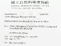 登錄號:F0017377藏品圖，第3張