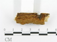 登錄號:F0017377藏品圖，第6張