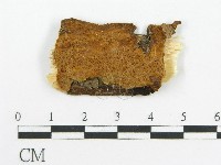 登錄號:F0017377藏品圖，第7張