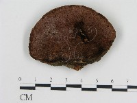 登錄號:F0017378藏品圖，第1張