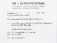 登錄號:F0017379藏品圖，第3張