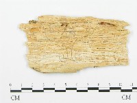 登錄號:F0017379藏品圖，第4張