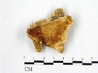 登錄號:F0017380藏品圖，第1張