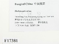 登錄號:F0017381藏品圖，第2張