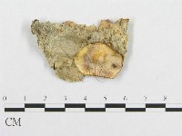 登錄號:F0017381藏品圖，第1張