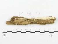 登錄號:F0017382藏品圖，第1張