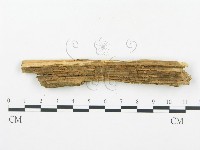 登錄號:F0017382藏品圖，第5張