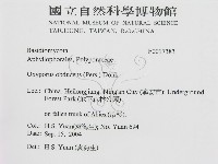 登錄號:F0017383藏品圖，第2張