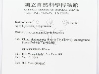 登錄號:F0017384藏品圖，第3張