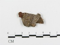 登錄號:F0017384藏品圖，第1張