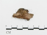 登錄號:F0017384藏品圖，第4張