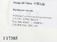 登錄號:F0017385藏品圖，第2張