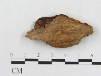 登錄號:F0017385藏品圖，第4張