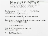 登錄號:F0017386藏品圖，第3張