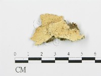 登錄號:F0017386藏品圖，第1張