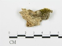 登錄號:F0017386藏品圖，第4張
