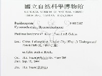 登錄號:F0017387藏品圖，第3張