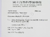 登錄號:F0017388藏品圖，第2張