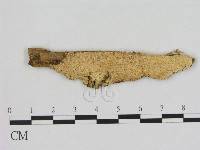 登錄號:F0017388藏品圖，第1張