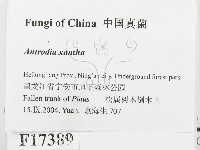 登錄號:F0017389藏品圖，第2張
