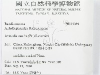 登錄號:F0017389藏品圖，第3張