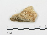登錄號:F0017389藏品圖，第4張