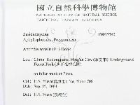 登錄號:F0017390藏品圖，第3張
