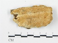 登錄號:F0017390藏品圖，第1張