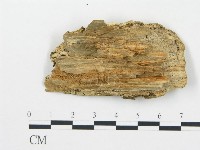 登錄號:F0017390藏品圖，第4張