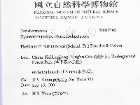 登錄號:F0017392藏品圖，第2張