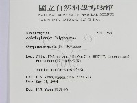登錄號:F0017393藏品圖，第2張