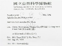 登錄號:F0017394藏品圖，第3張