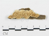 登錄號:F0017394藏品圖，第1張
