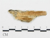 登錄號:F0017394藏品圖，第4張