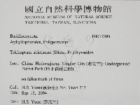 登錄號:F0017395藏品圖，第2張
