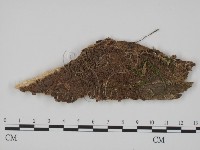 登錄號:F0017395藏品圖，第1張