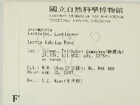 登錄號:F0017396藏品圖，第2張