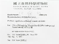 登錄號:F0017396藏品圖，第3張