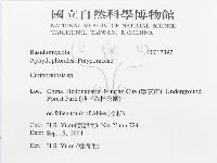 登錄號:F0017397藏品圖，第3張
