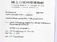 登錄號:F0017398藏品圖，第2張