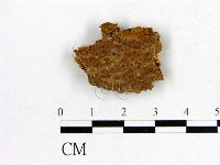 登錄號:F0017398藏品圖，第1張