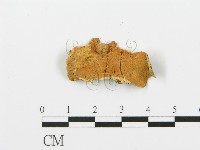 登錄號:F0017399藏品圖，第1張