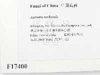登錄號:F0017400藏品圖，第2張
