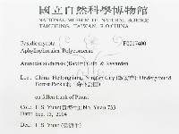 登錄號:F0017400藏品圖，第3張