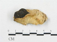 登錄號:F0017400藏品圖，第4張