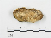 登錄號:F0017400藏品圖，第5張