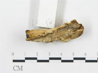 登錄號:F0017400藏品圖，第7張