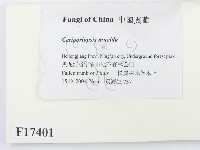 登錄號:F0017401藏品圖，第2張