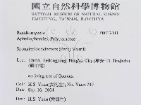 登錄號:F0017403藏品圖，第3張