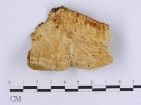 登錄號:F0017403藏品圖，第1張